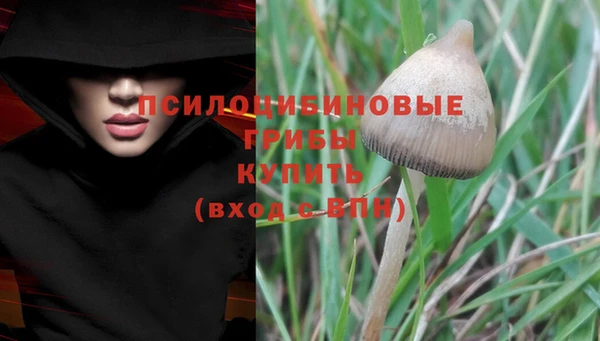 спиды Осташков