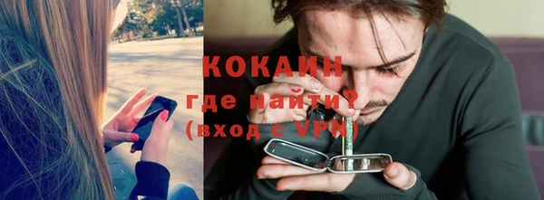 дживик Богородск